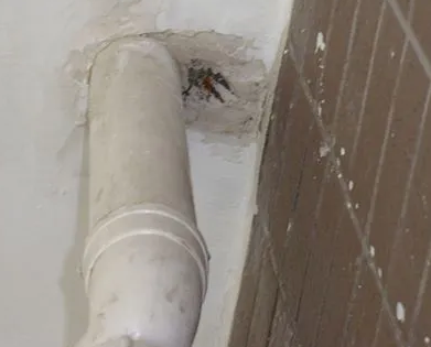 英吉沙漏水检测哪家好